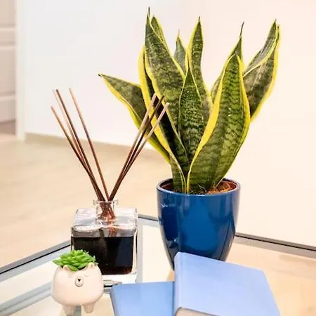 Casa Don Antonio شقة مونوبولي